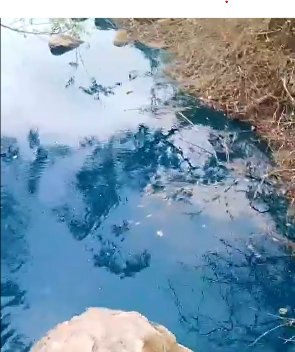Mysterious’ Blue Water Appears in Maharashtra’s Dharashiv District After Rainfall