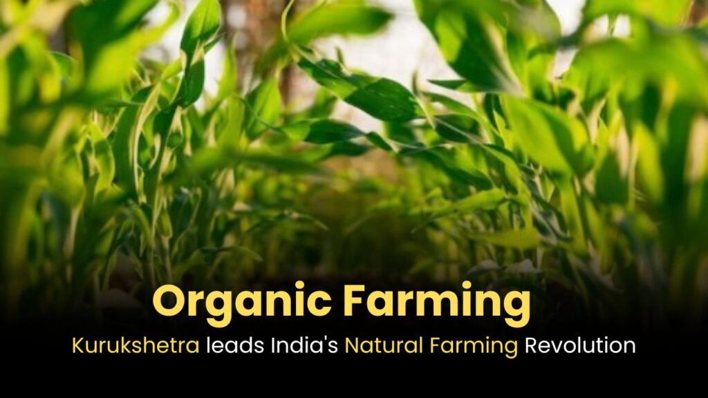 Kurukshetra leads India's Natural Farming Revolution: MP Naveen Jindal
