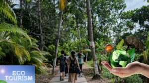 Eco-Tourism Trends: How Sustainable Stays Are Changing the Industry