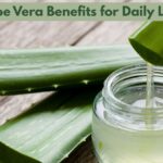 Healing Naturally: Aloe Vera’s Endless Benefits for Daily Life