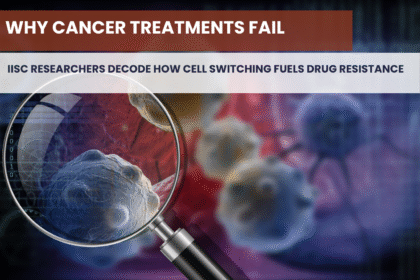 Why cancer treatments fail: IISc researchers decode how cell switching fuels drug resistance