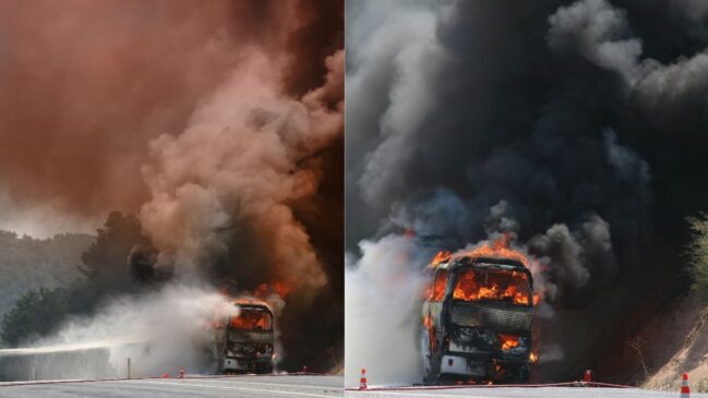 Saudi Arabia Bus Crash: 42 Indians From Hyderabad Feared Dead During Umrah Trip