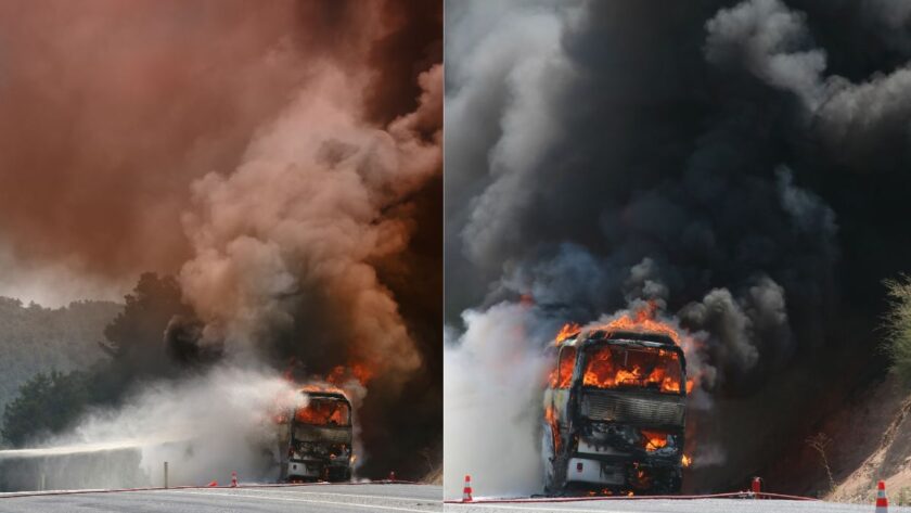 Saudi Arabia Bus Crash: 42 Indians From Hyderabad Feared Dead During Umrah Trip