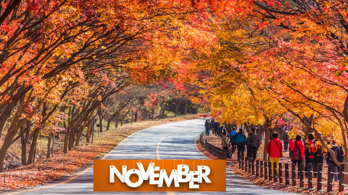 Best Places to Visit in November 2025 for Perfect Weather and Scenic Views