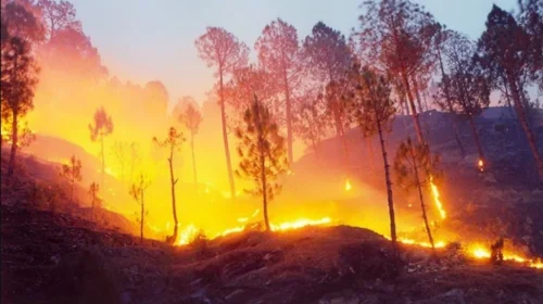 Uttarakhand forests are burning