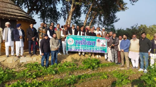 “Haqeeqat” Story: A Strong Step Towards a Chemical-Free Future