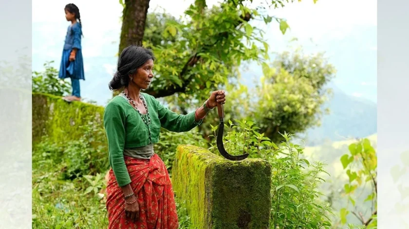 Raji Tribe of Uttarakhand