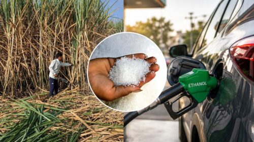 How Did Sugar Prices Jump from ₹45 to ₹65? Is Ethanol Really Taking Away the Sweetness from Your Tea?